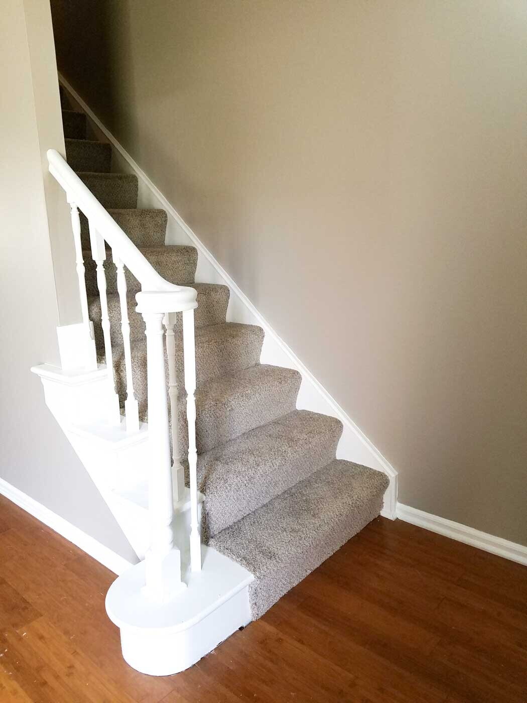 Bamboo floors downstairs, new carpet up - 1008 Manor Ln