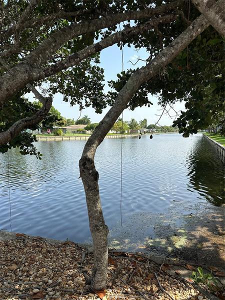 Building Photo - 9080 Lime Bay Blvd