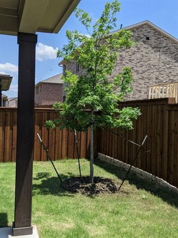 Building Photo - 260 Lee Roy Jordan St