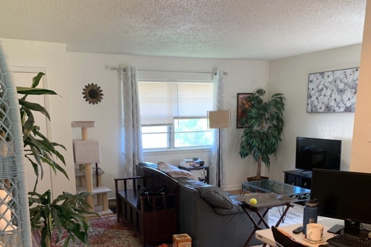 Another view of living area - 5102 Bell St