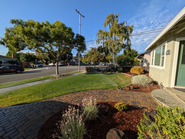 Front Yard view from driveway - 1533 Santa Monica Ave