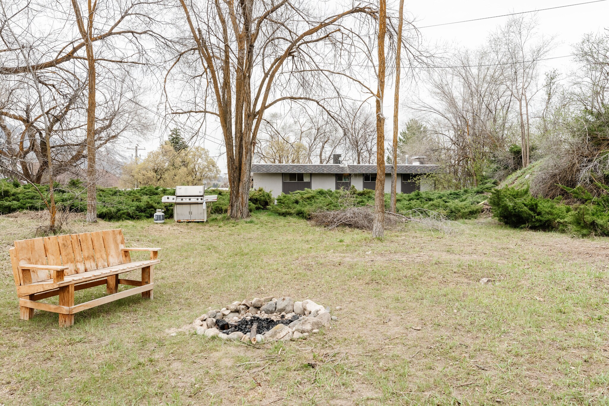 Back yard - 815 Orchard Dr