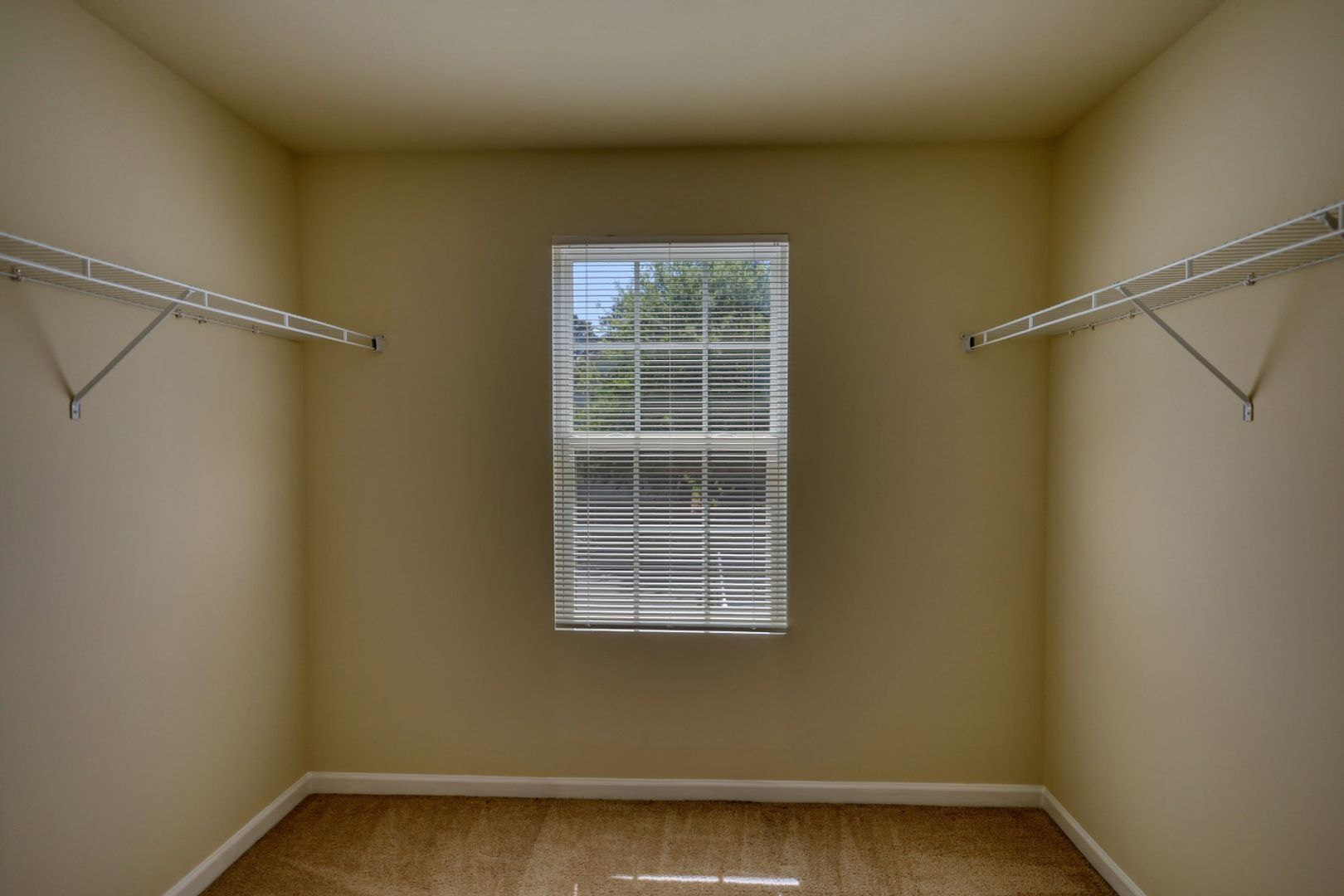 Building Photo - 11224 Aliyah Dr