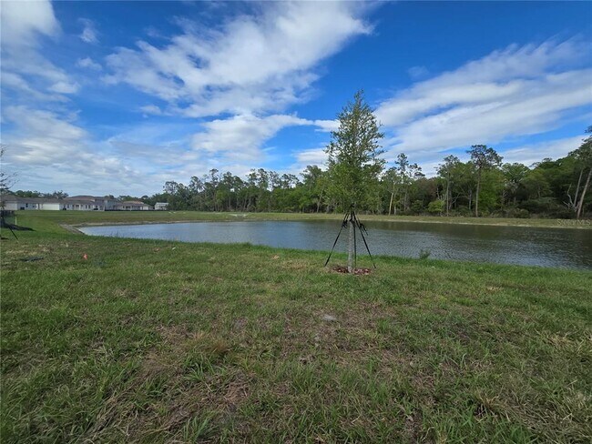 Building Photo - 8411 Madrid St