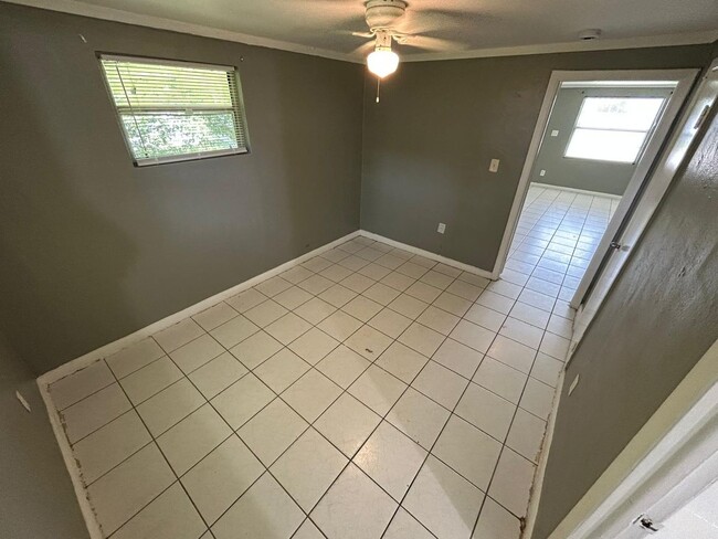 Building Photo - Cute & Quaint 1/1 in Tampa! Apply for FREE This Holiday Season!