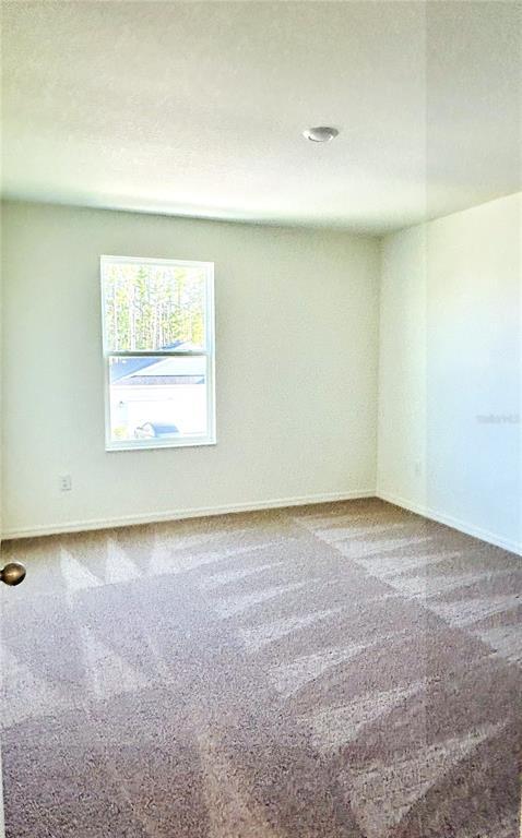 Building Photo - 37531 Williamette Wy