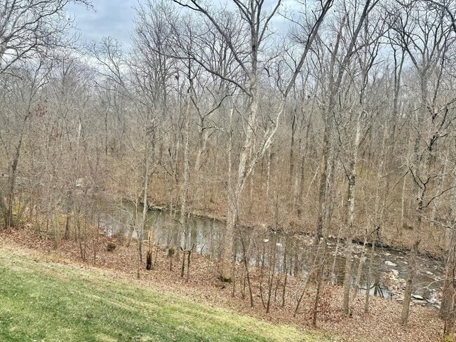 Building Photo - 1632 Shady Cove Ln