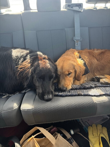 Building Photo - 550 Weaver Ave