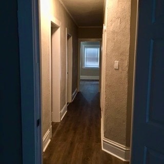 Building Photo - 2113 Murray Ave