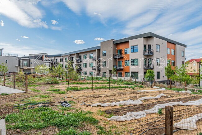 Building Photo - 2876 W 53rd Ave