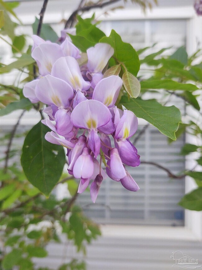 Building Photo - 6351 Cottage Woods Dr