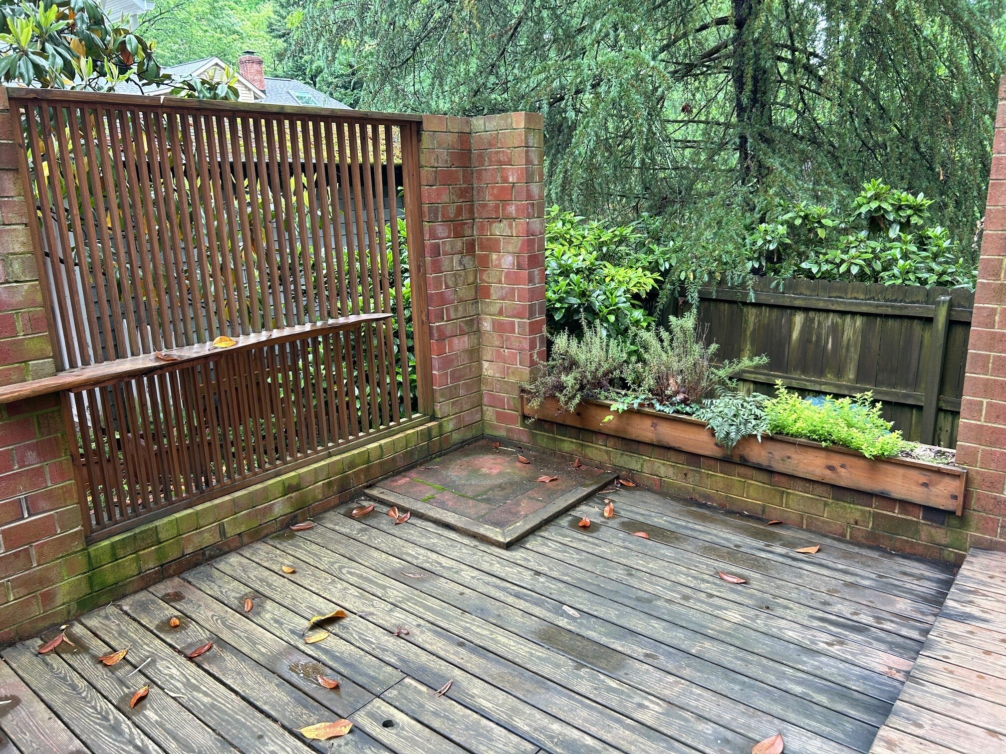 Planter box for kitchen herb garden - 407 McCauley St
