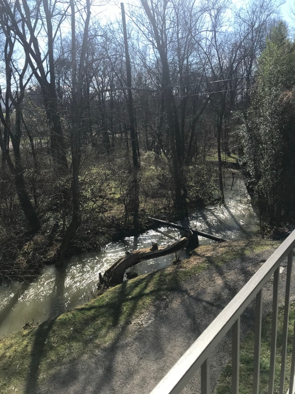 Building Photo - 1206 Brookside Ave