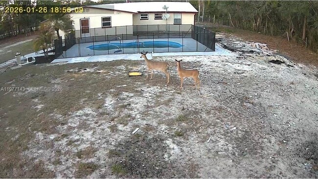 Building Photo - 3709 Grand Concourse