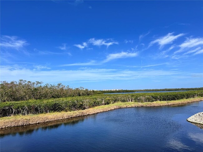 Building Photo - 1216 Spoonbill Landings Cir