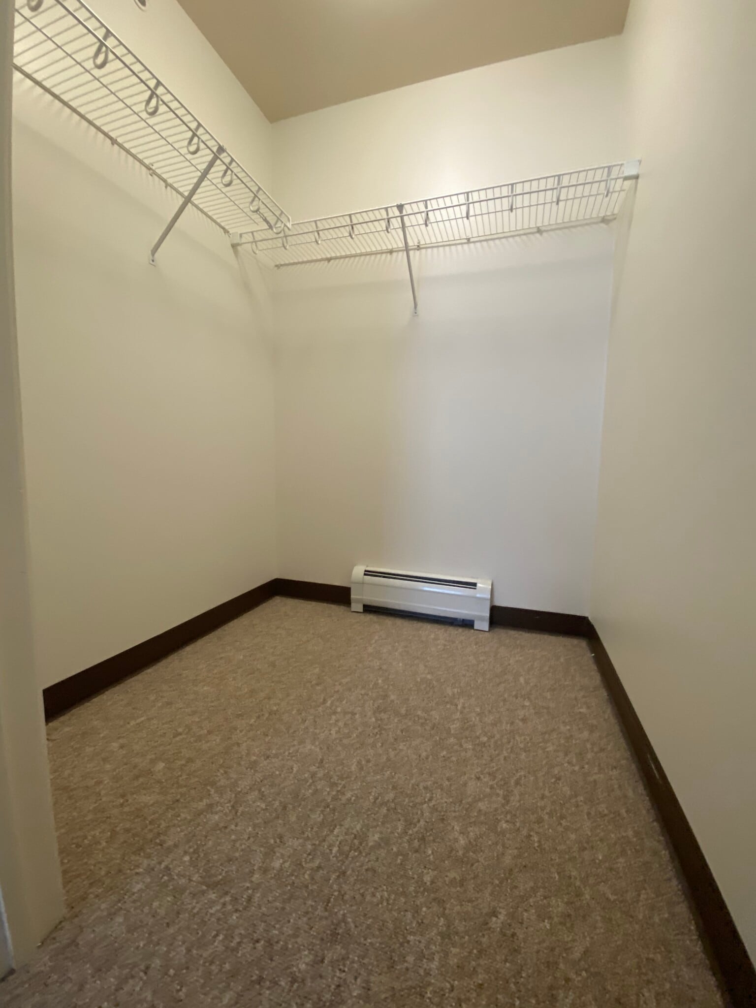 Closet - 20 Carmichael St