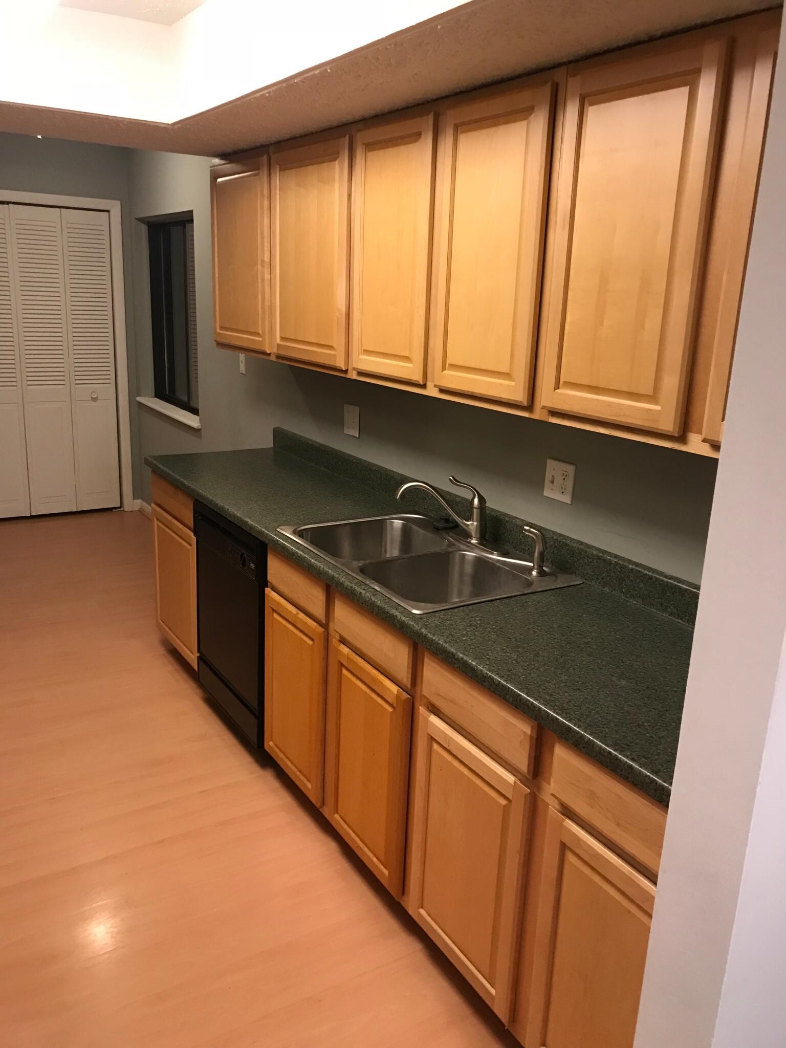 Kitchen sink and dishwasher - 197 Sugarwood Ln