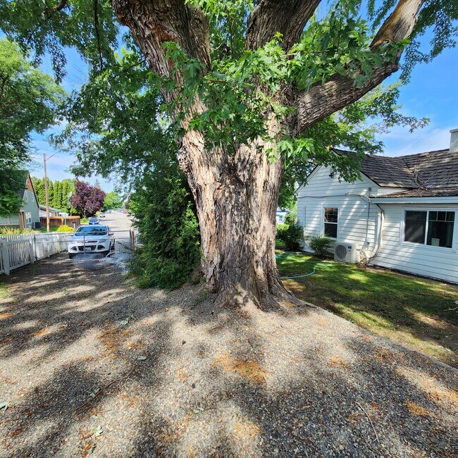Building Photo - 1018 Court St