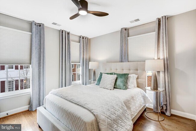 Building Photo - 17 Alexander St