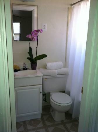 Interior Photo - Pinetree Gardens