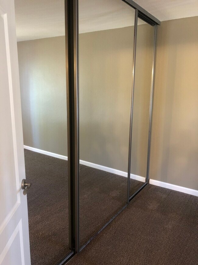 Bedroom Closet - 210 Reflections Dr