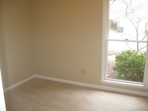 Building Photo - 3 BR Ranch.  Privacy Fenced Backyard.   20260604
