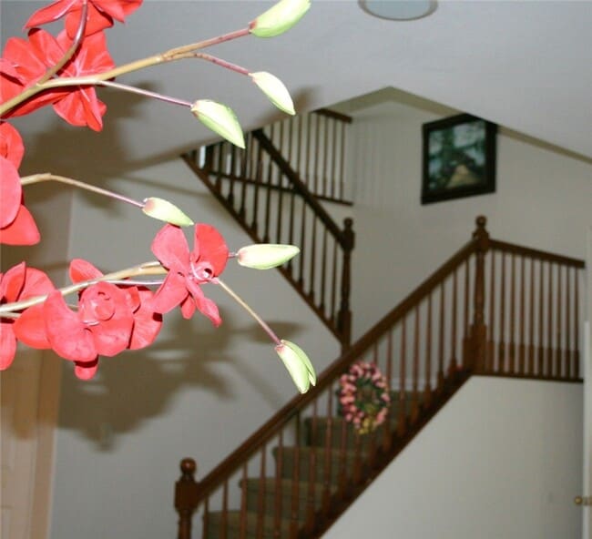 Building Photo - 13896 Fair Meadows Ct