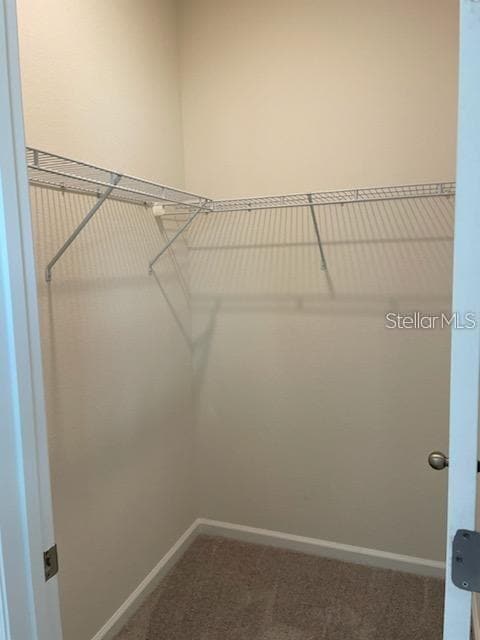 Building Photo - 2332 Litchfield Lp