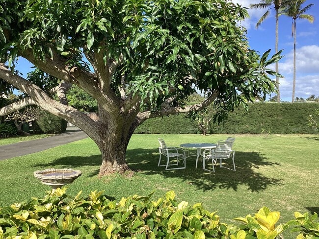 Building Photo - Furnished Kaimalino House Fronting Canal & Overlooking Kailua Bay