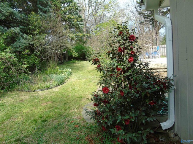 Building Photo - 2504 Maysville Cir NE