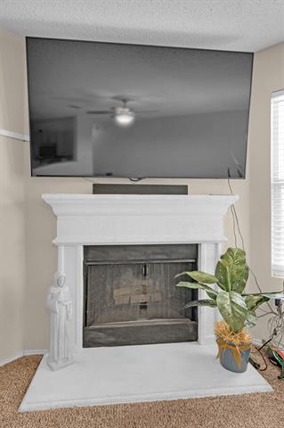 Building Photo - 4901 Parkview Hills Ln