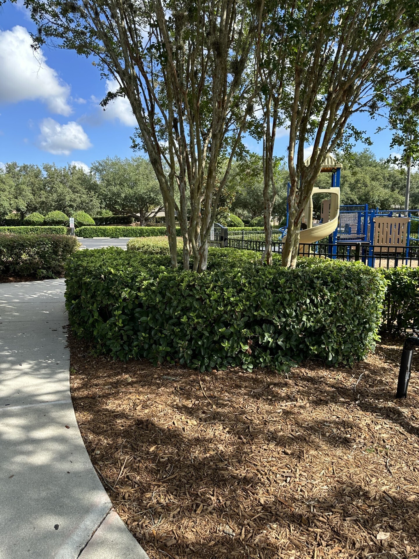 Building Photo - 4500 SW 52nd Cir