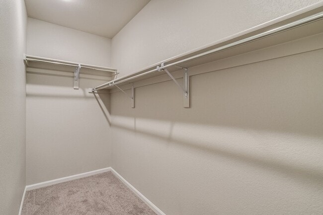 Building Photo - Spacious 4BR Townhome in Denver