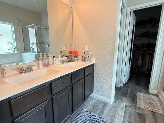 Building Photo - 24919 Bastiani Canvas Ln