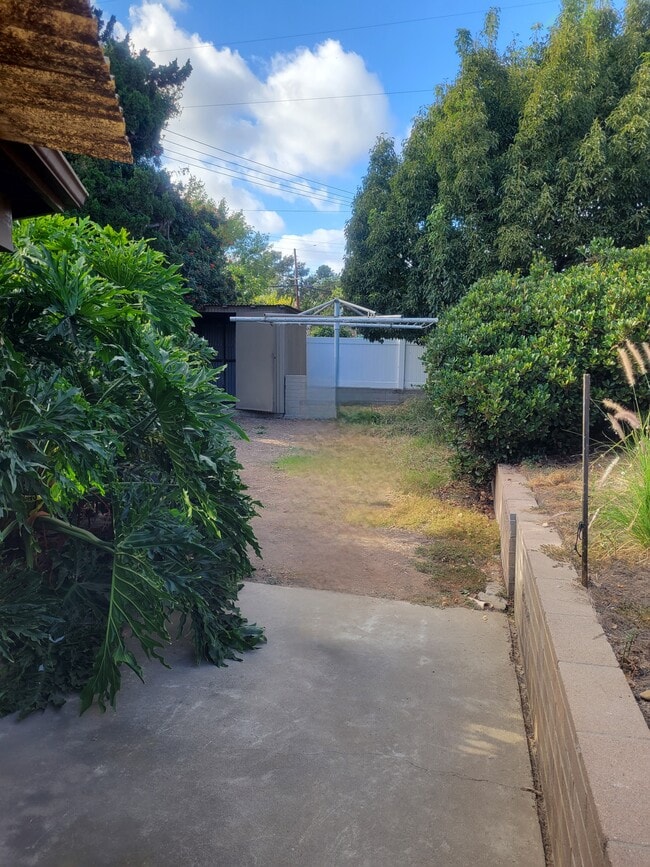 Backyard pt 1 - 5675 Marengo Ave