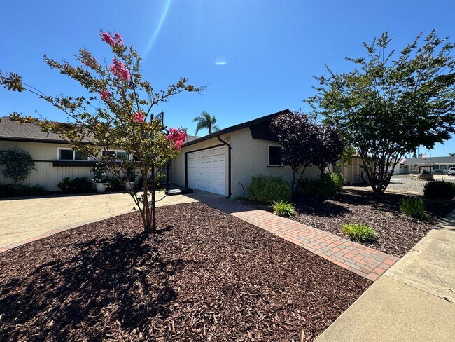 Building Photo - Beautifully Updated 4 Bedroom, 3 Bath Sing...