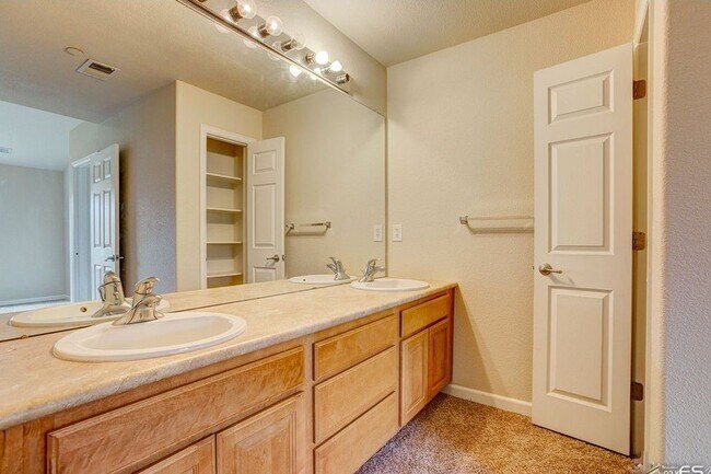 master vanity - 4815 Hahns Peak Dr