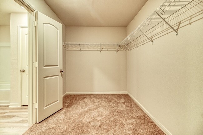 Building Photo - 8002 Vacek Meadows Loop