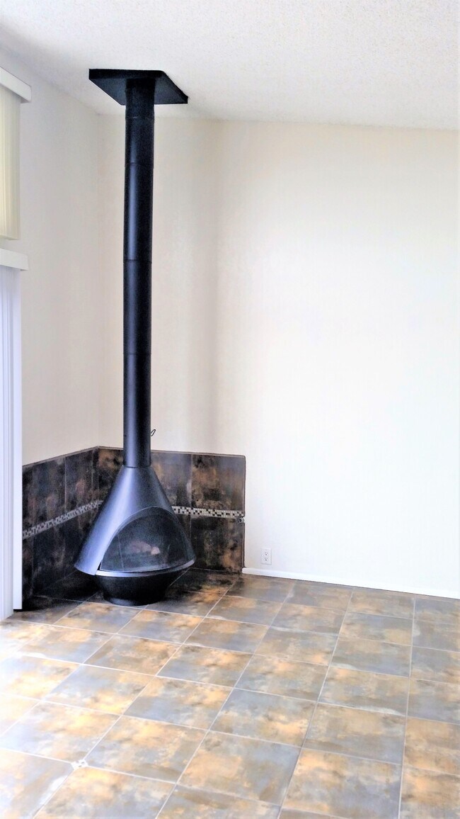Coxy Norwedian gas fireplace - 3962 Haines St