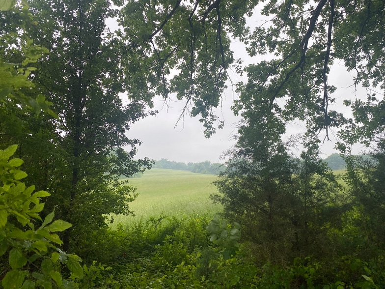 Building Photo - 224 Park Cir Dr