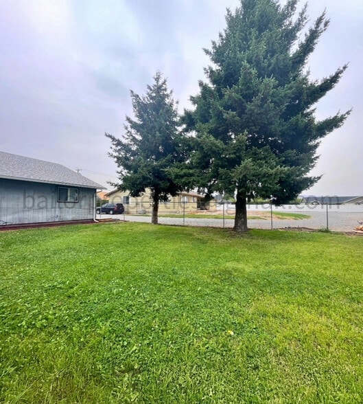 Backyard - 703 Easy St