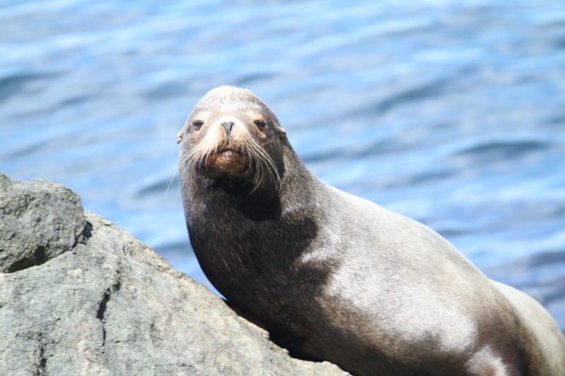 Building Photo - 585 Raccoon Point Rd