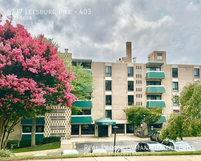 Building Photo - 6137 Leesburg Pike