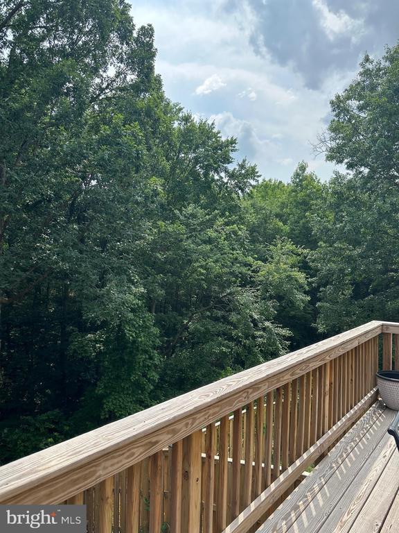 Building Photo - 10603 Brice Ct