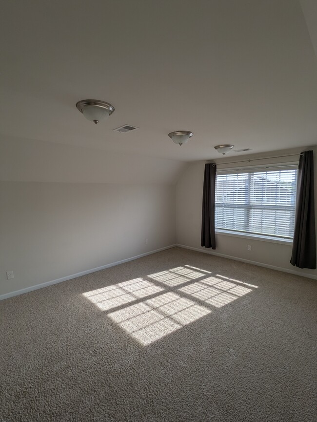 Building Photo - 205 Granito Dr