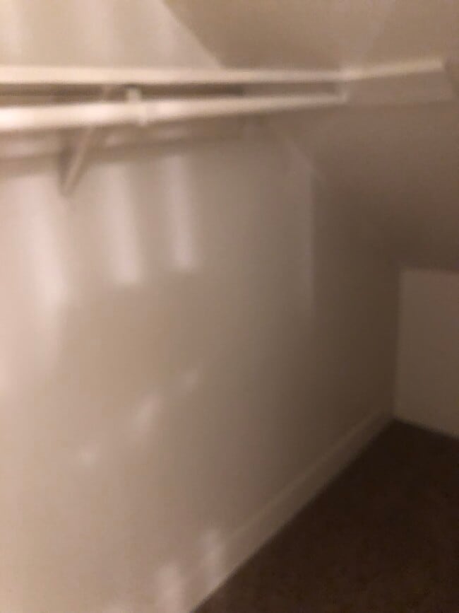 Building Photo - 1019 Linden St