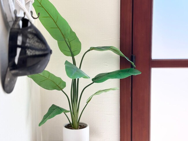 Building Photo - 2524O- Amazing Waterfront | FURNISHED