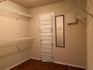 Building Photo - 1820 Southridge Ln