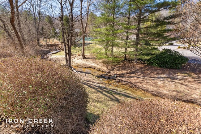 Building Photo - Newly Remodeled 2-Bed Condo in Asheville