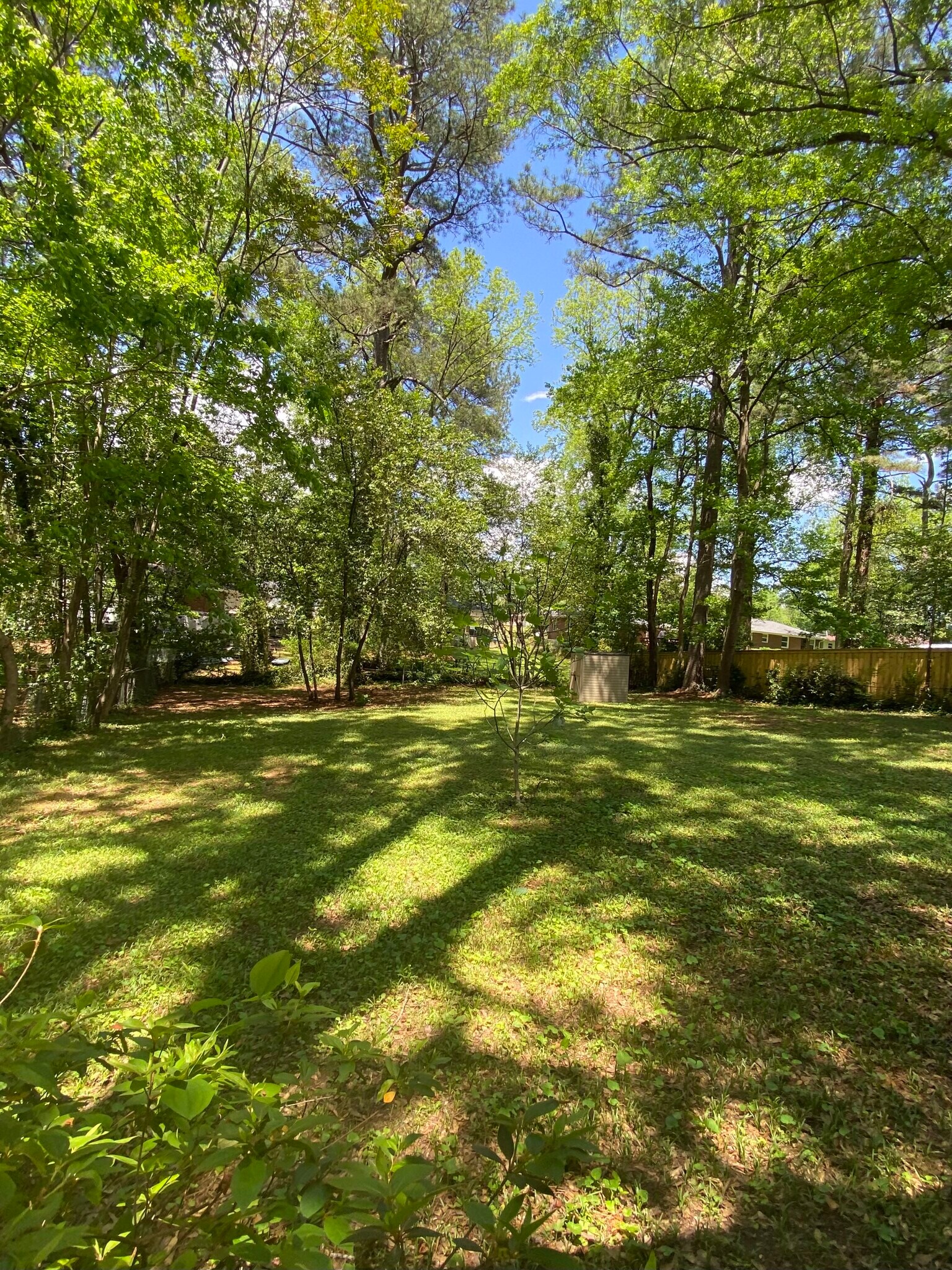 Fenced, shady back yard - 3172 Sandusky Dr